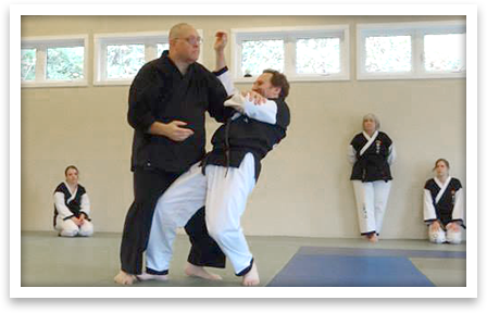 Seminar training at Windsong Dojo
