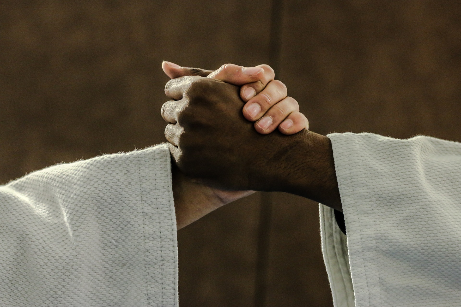 Two budoka clasping hands on the mat